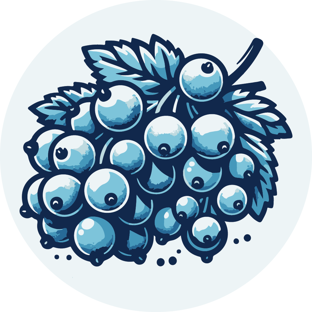 Logo du serveur